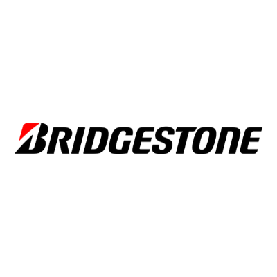 Зимние шины Bridgestone